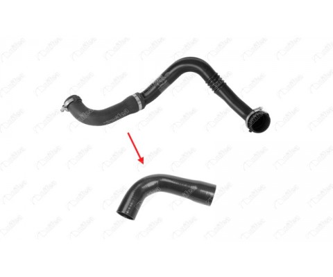 TURBO HORTUMU PLASTİK BORU HARİÇ RENAULT MEGANE I 96> SCENIC I 96> 1.9dCi