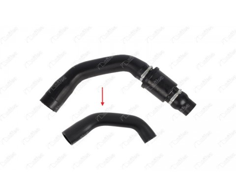 TURBO HORTUMU BÜYÜK TRANSIT V347 V62 V363 2.2TDCI 100PS 125PS 155PS 2011 > PLASTİK PARCA HARİC