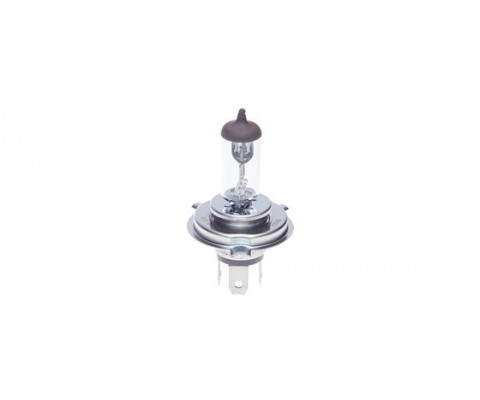 AMPUL-ECO-12V-100/90W-P43T