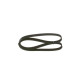 KANALLI KAYIŞ 6PK1165 PART BERL 1.8D 1.9D 8V 96-98 BOXER 3.0HDI 306 2.0 R9-R19-R21 1.7 1.9