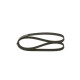 KANALLI KAYIŞ 6PK1256 OPEL ASTRA G-H CORSA C-D 1.7CDTI -AC CHRYSLER VOLVO FERRARI 68385