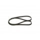 6PK1675 KANALLI KAYIŞ P206-PARTNER-BERL 02-06 SCUDO 98-06 19D-AUDI FORD VOLVO